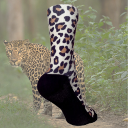 calcetines leopardo